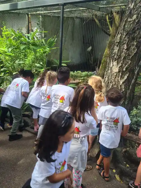 Kinderen Dierentuin