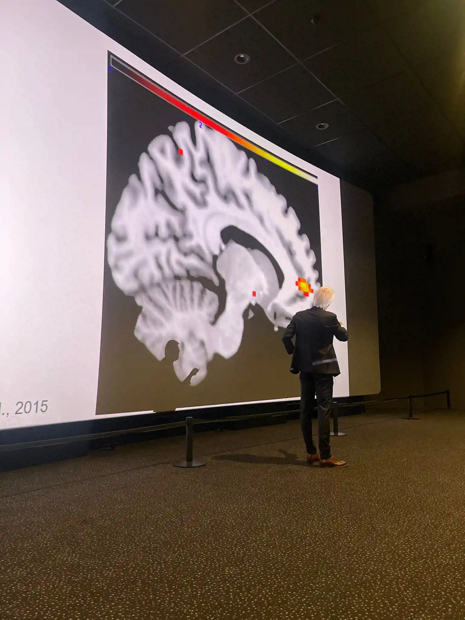 5516Bf3f 7243 481A A2d9 872F1aa4a13f